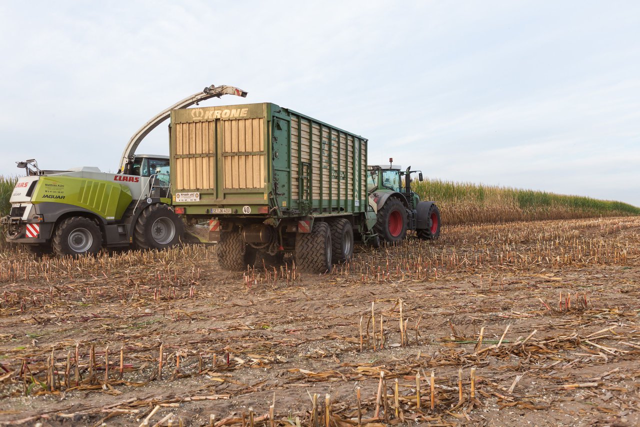 Bild 96 - Maisernte 2016